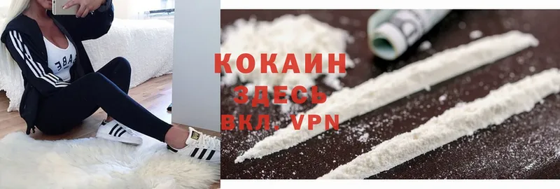 Кокаин Fish Scale  купить   Ишим 